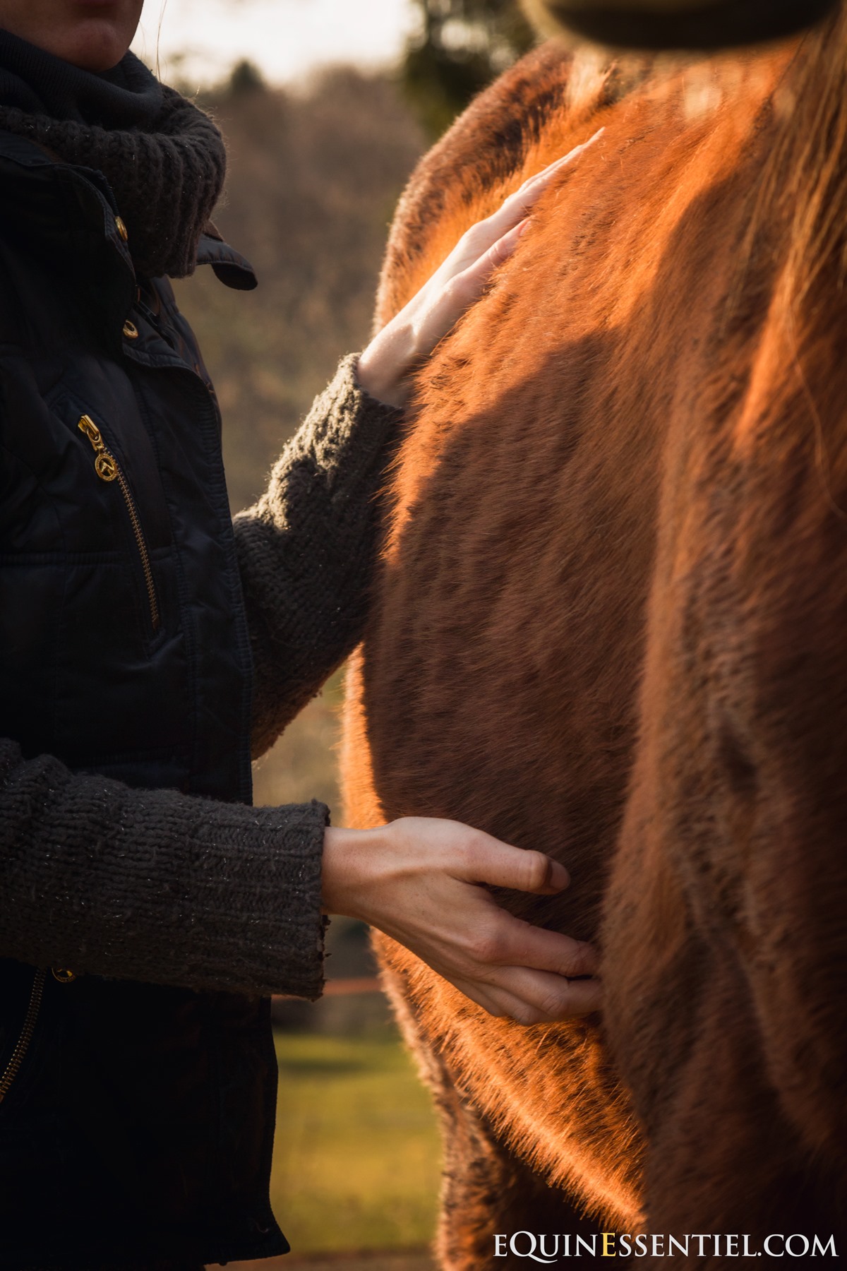 Et si votre cheval avait mal au ventre ? Laure Souquet ostéopathe équine - Equinessentiel