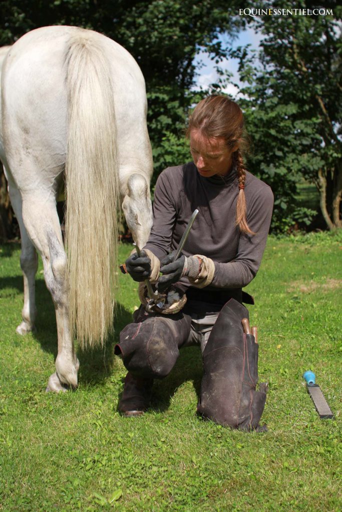 Stage de parage d'entretien de votre cheval âne ou poney - Laure Souquet - Equinessentiel