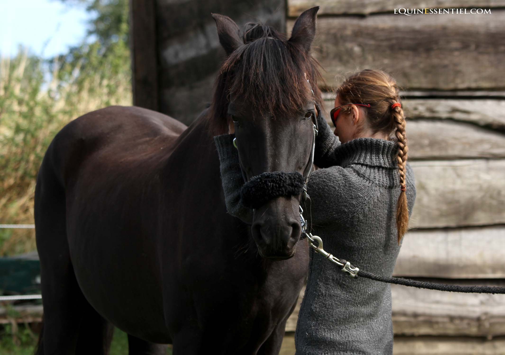 Les qualités d'un bon ostéopathe équine pour soigner vos chevaux votre cheval - Laure Souquet - Equinessentiel