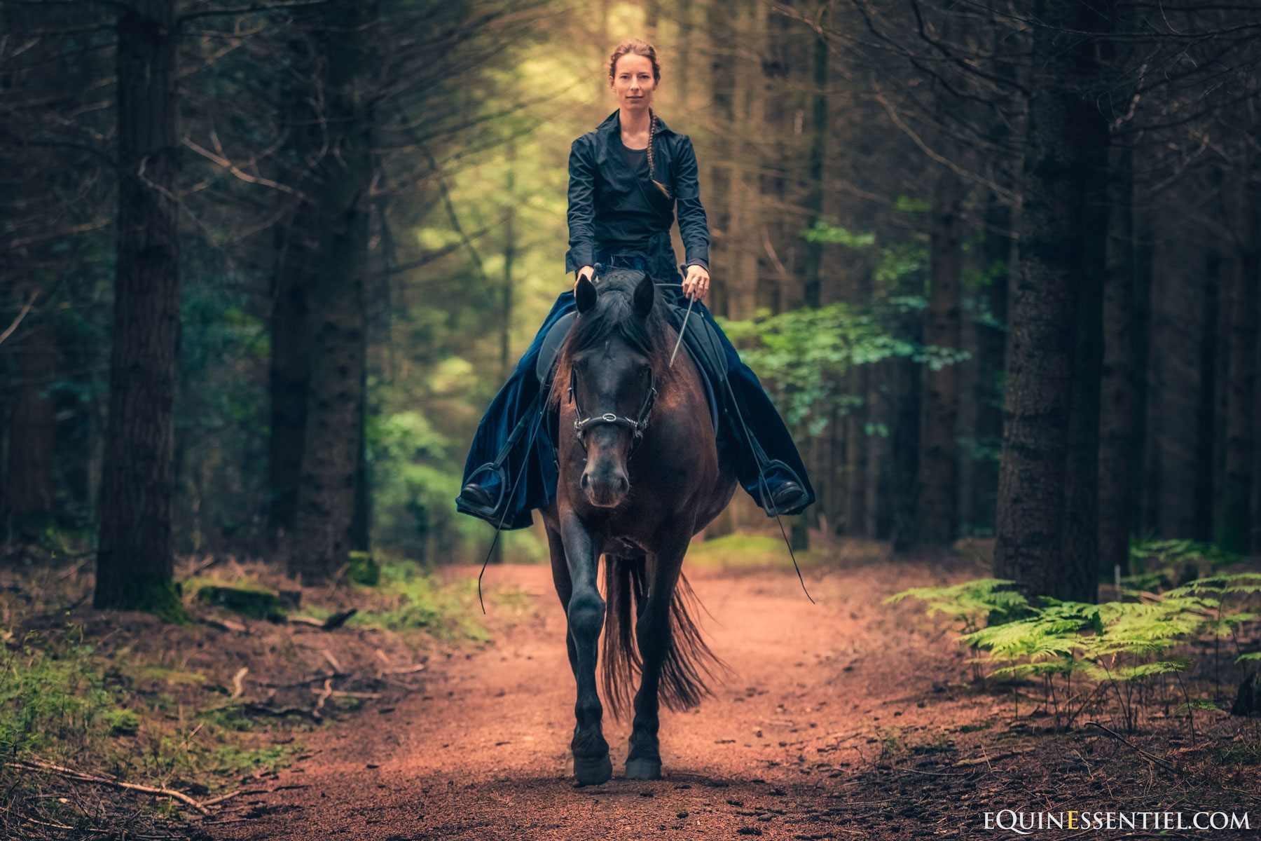 Une selle sur mesures pour votre cheval, un vrai défi ! Laure Souquet - Equinessentiel